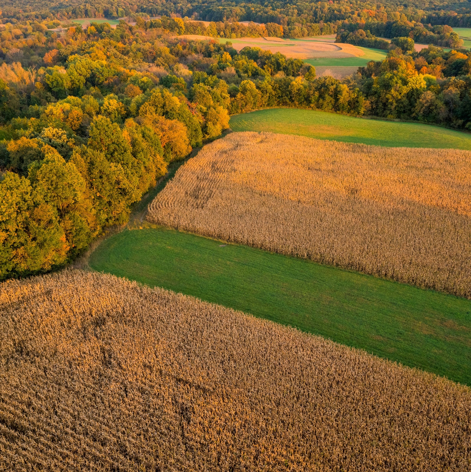 Quality Care for Home and Farm